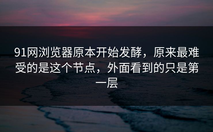 91网浏览器原本开始发酵，原来最难受的是这个节点，外面看到的只是第一层
