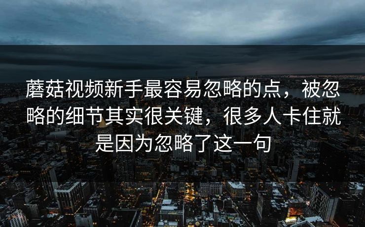 蘑菇视频新手最容易忽略的点，被忽略的细节其实很关键，很多人卡住就是因为忽略了这一句